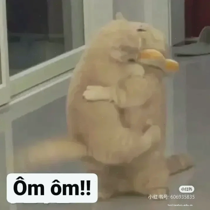 Meme 2 mèo ôm nhau tạo hình trái tim