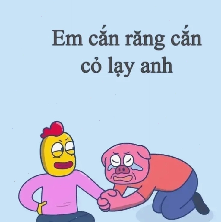 Meme 9.5 điểm Meme 9.5 điểm final
