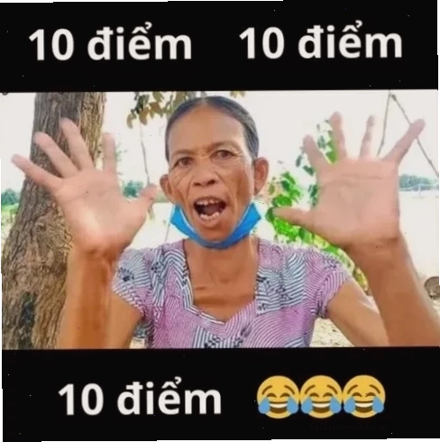 Meme 9.5 điểm Meme 9.5 điểm thực tế