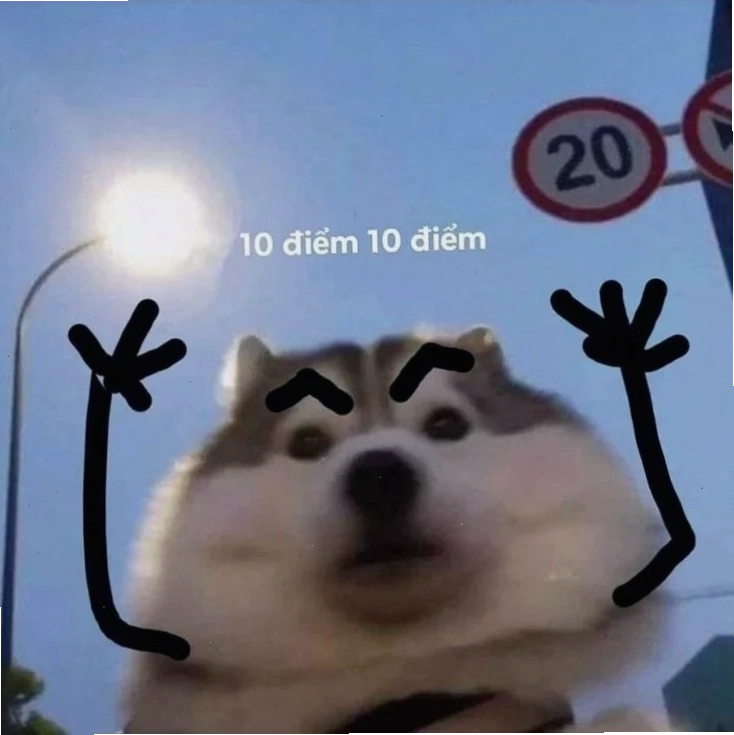 Meme 9.5 điểm Meme 9.5 điểm tổng hợp