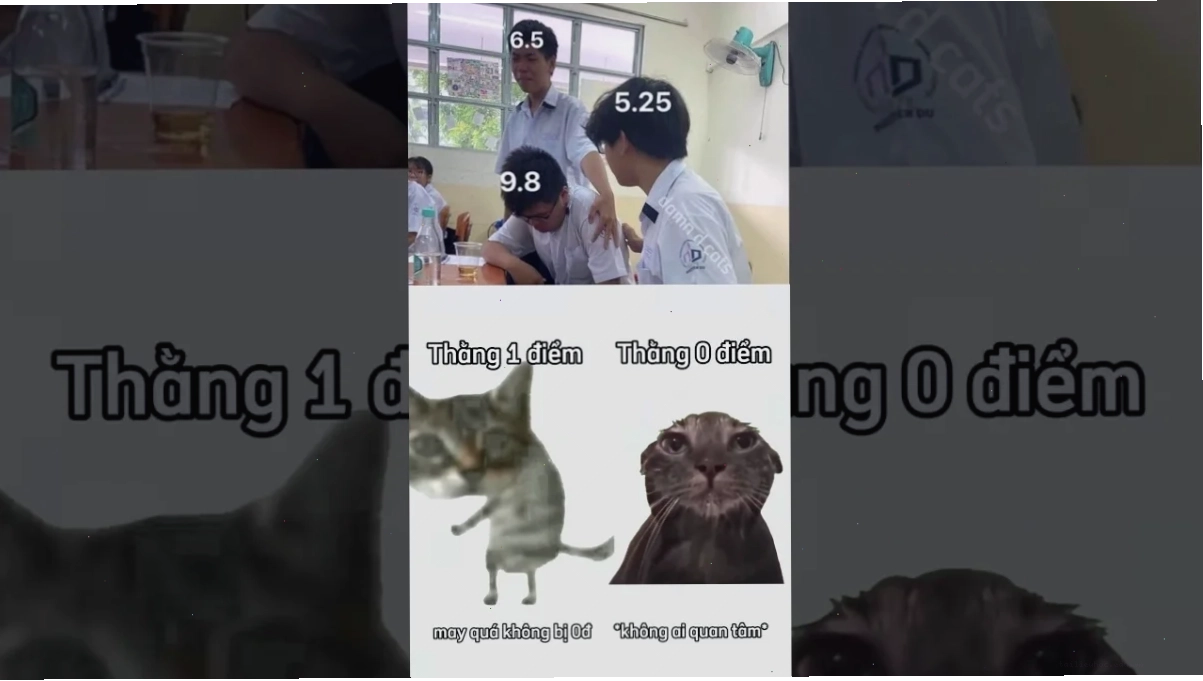 Meme 9.5 điểm Meme 9.5 điểm trào lưu