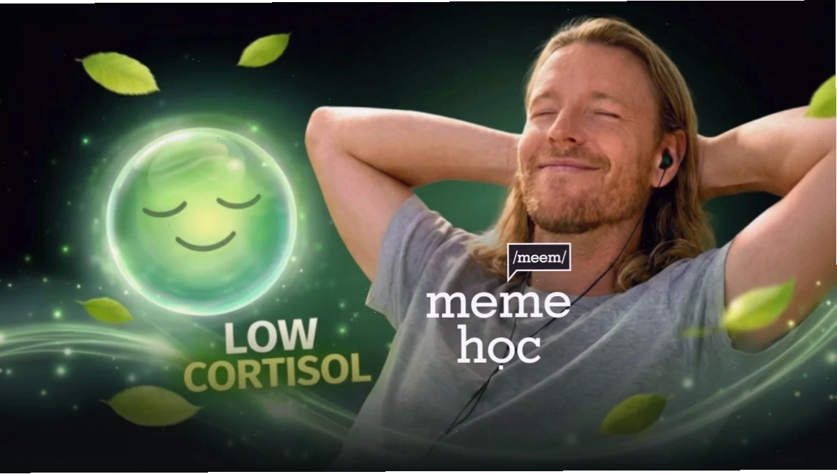 meme ai mà biết được trend meme ai mà biết được hot trend