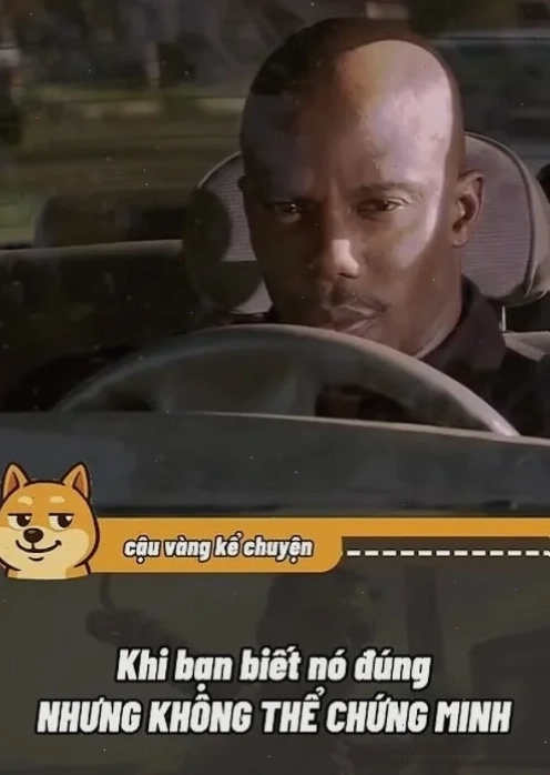 meme ai mà biết được mới nhất meme ai mà biết được thú vị