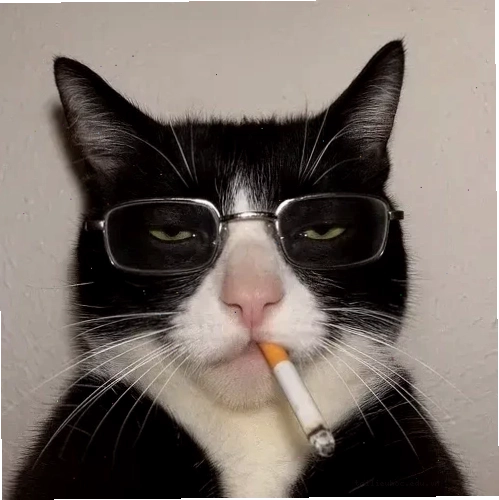 meme avatar hài meme avatar hài