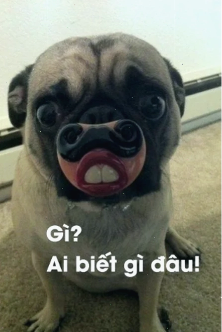 meme avatar hài meme avatar hài