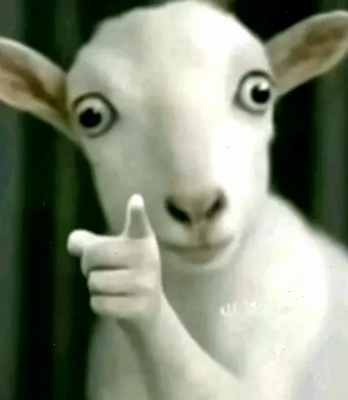 meme avatar hài meme avatar hài