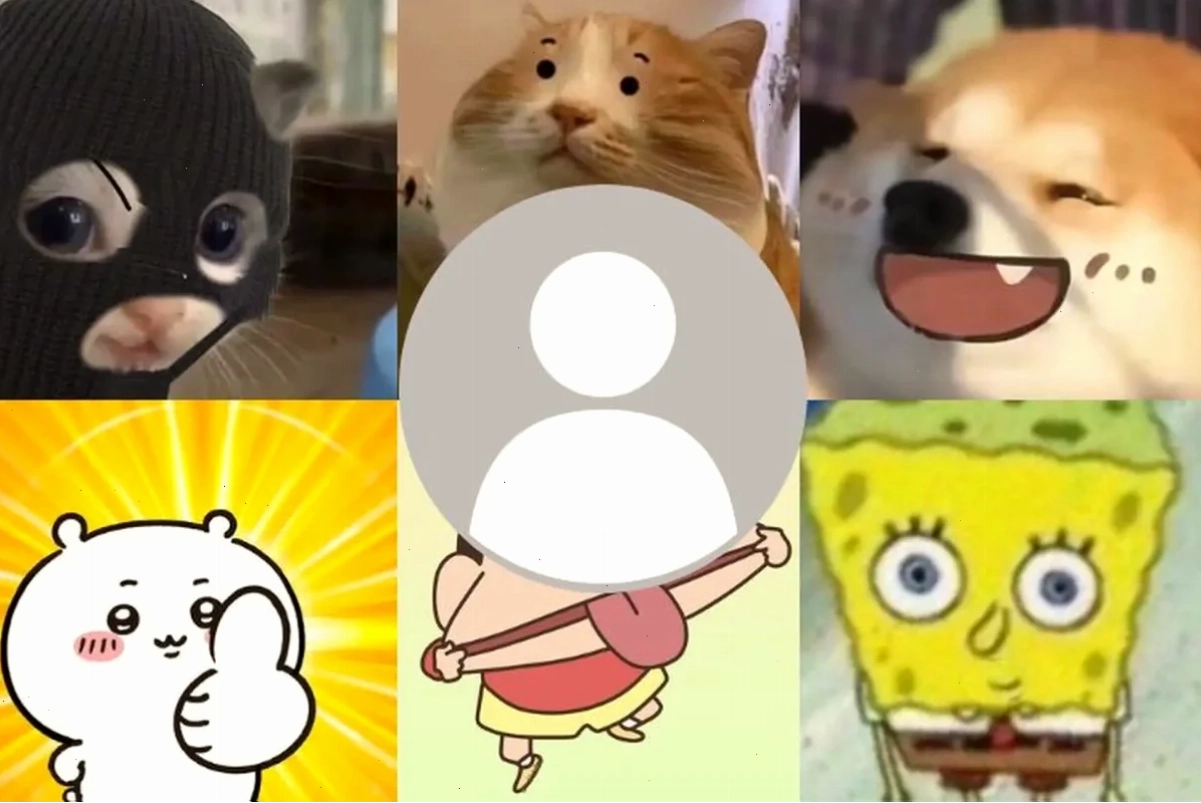 meme avatar hài meme avatar hài