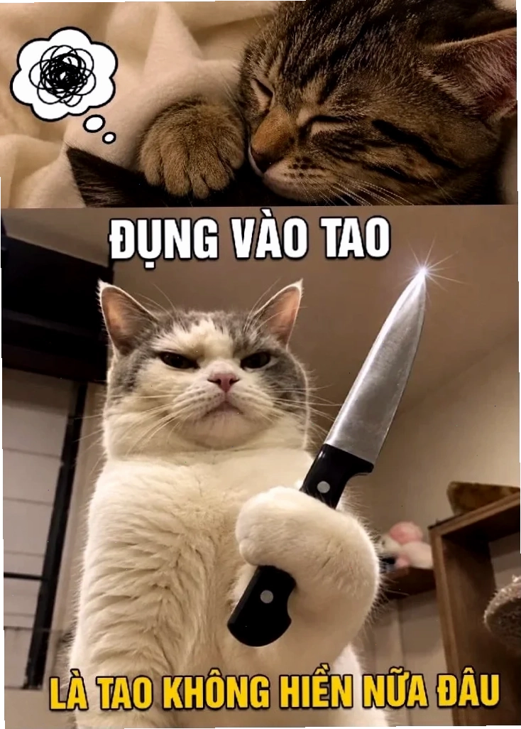 Bà lão mài phóng lợn meme bà lão mài phóng lợn