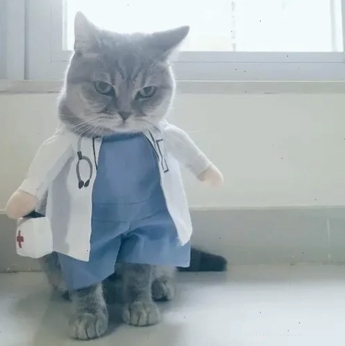 Bác sĩ tâm lý meme bác sĩ tâm lý lắng nghe