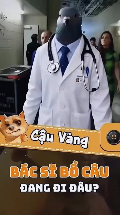 Bác sĩ thú y meme bác sĩ thú y