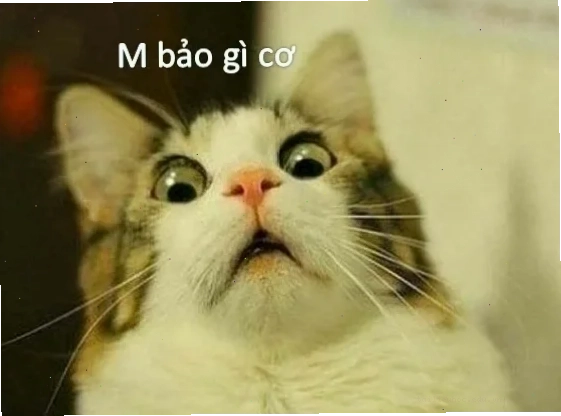 meme bất ngờ chưa bà già giải trí