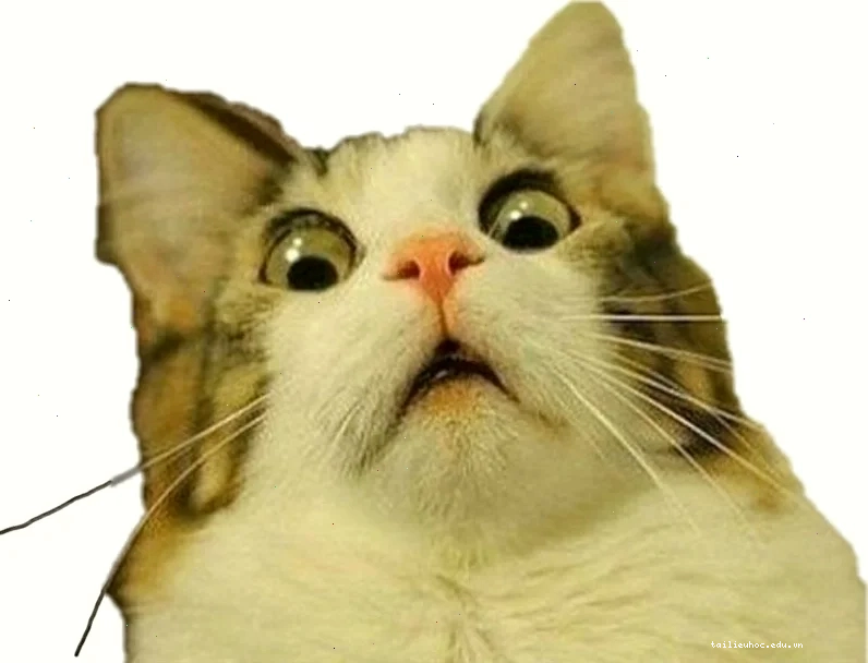 meme bất ngờ chưa bà già kết thúc bài