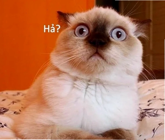 meme bất ngờ chưa bà già meme sound