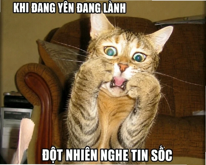meme bất ngờ chưa bà già thú vị