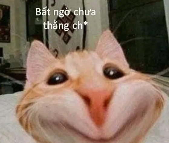 meme bất ngờ chưa bà già trên các nền tảng