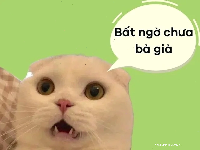 meme bất ngờ chưa bà già trong video hài hước