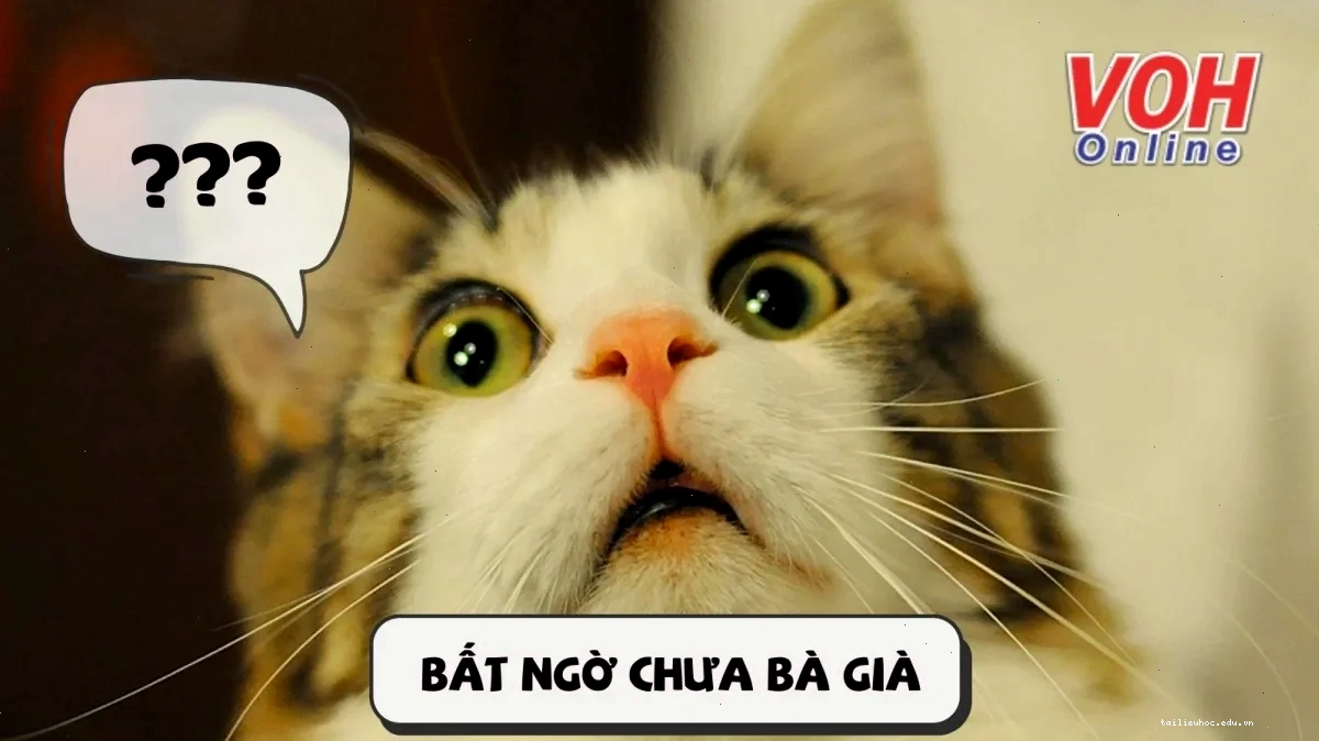meme bất ngờ chưa bà già trong video quà tặng
