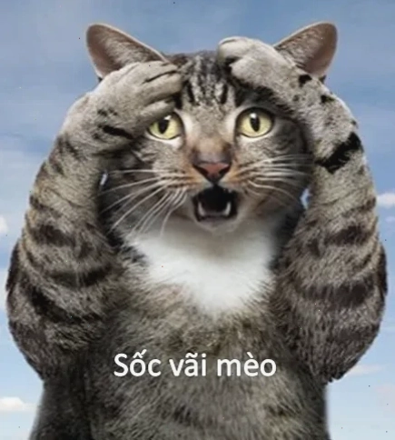 meme bất ngờ chưa bà già xem ngay