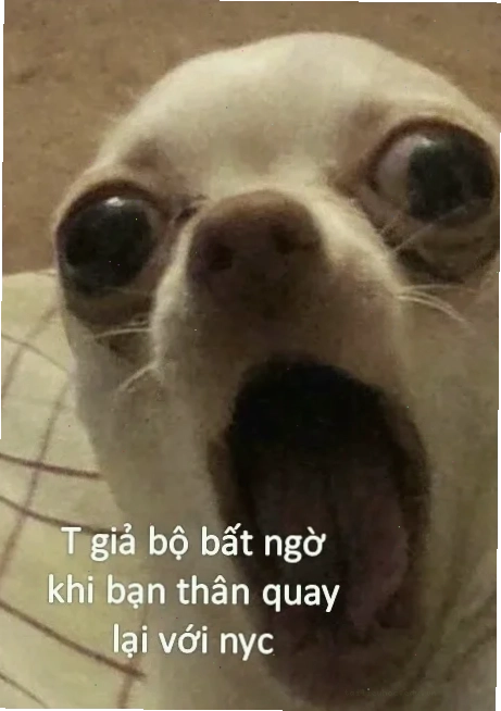 meme bất ngờ chưa ông già hài hước