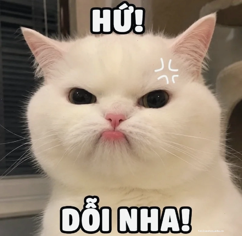 meme bĩu môi khinh bỉ