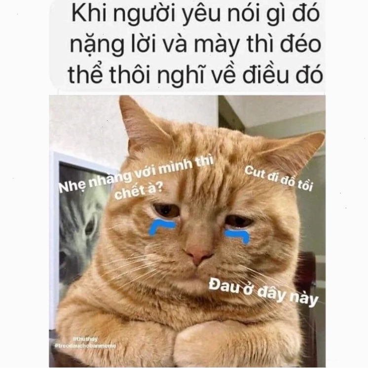 Meme buồn tình