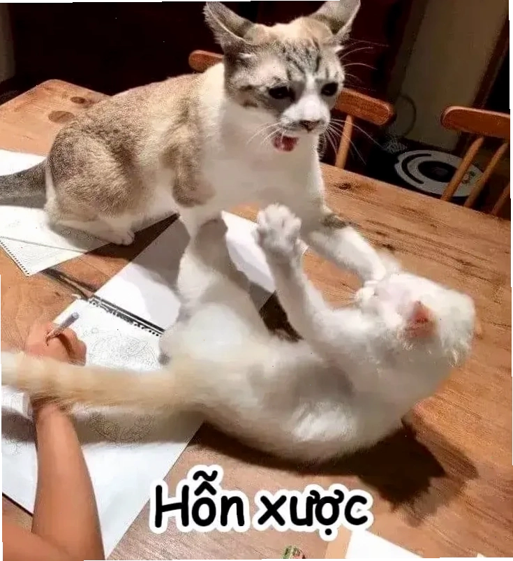 meme cầm gậy meme cầm gậy khác