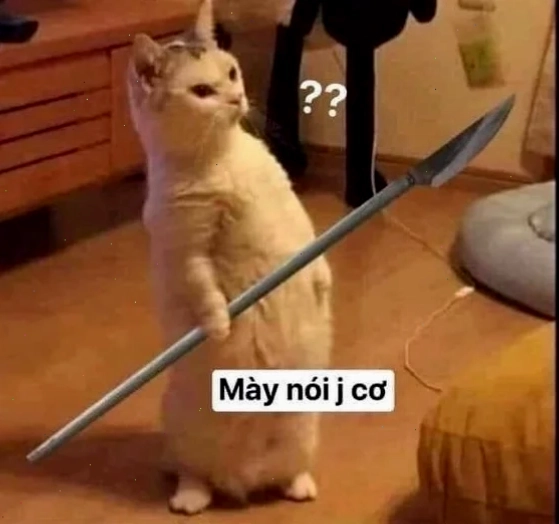 Biểu cảm căng thẳng meme cầm phóng lợn biểu cảm căng