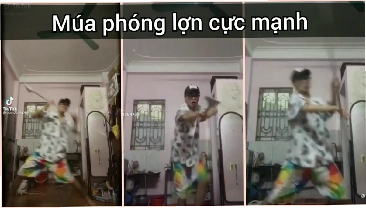 Shiba cầm phóng lợn meme cầm phóng lợn với chó Shiba