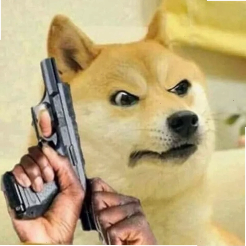 Mèo với sát khí meme cầm súng căng thẳng