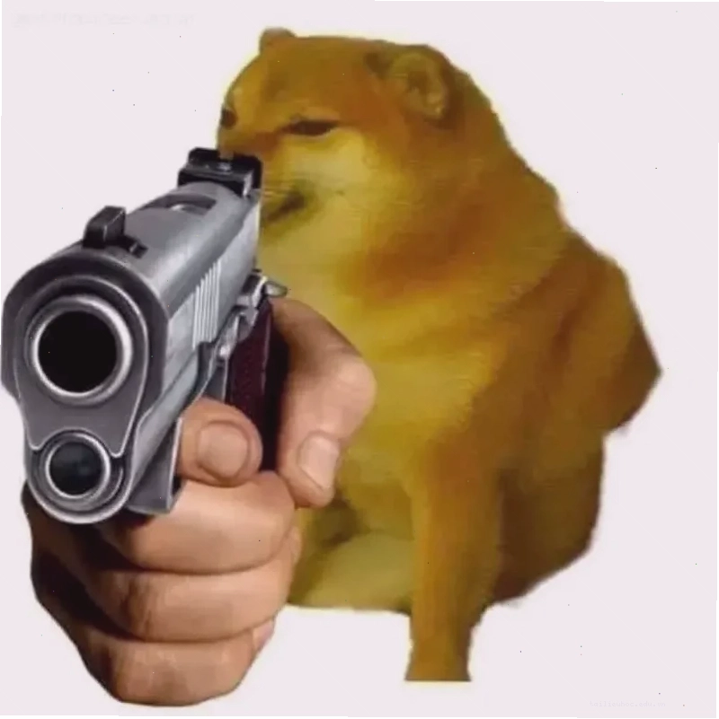 Mèo cầm súng trường meme cầm súng trường ngầu lòi
