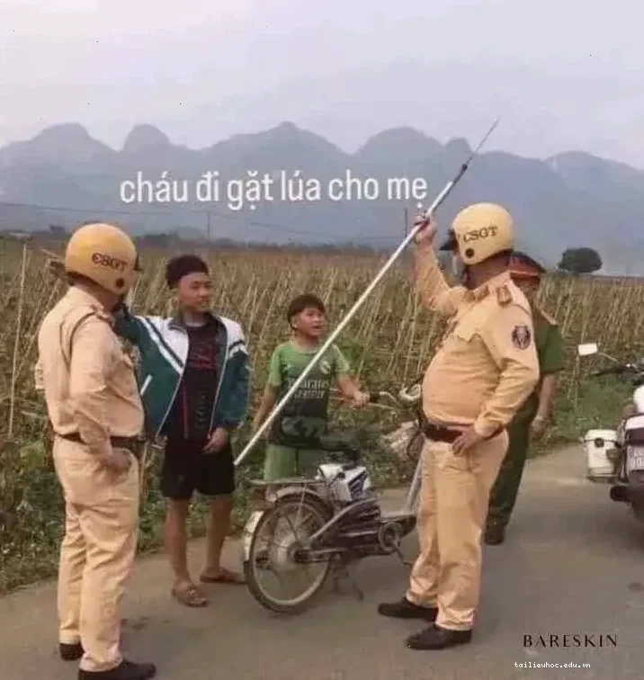 meme cảnh sát meme cảnh sát