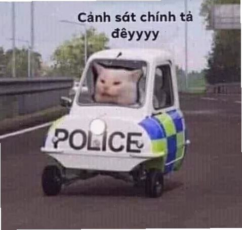 meme cảnh sát meme cảnh sát