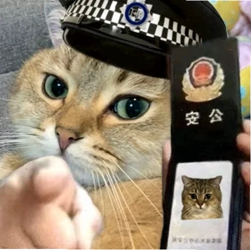 meme cảnh sát meme cảnh sát