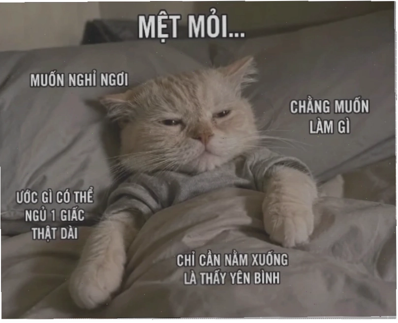 Nhìn trời chán đời Meme chán đời ngồi nhìn trời quá đủ rồi quá mệt rồi meme