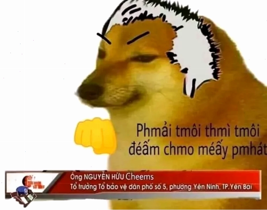 meme chất meme chất
