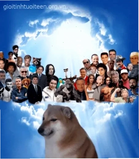 meme cheems chú hề dễ thương meme cheems chú hề dễ thương
