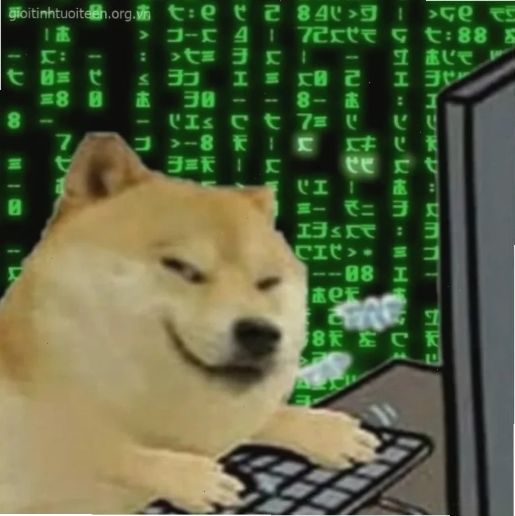 meme cheems hài meme cheems hài