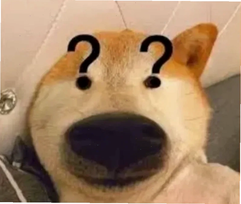 chó bị ong đốt đau meme chó bị ong đốt đau đớn