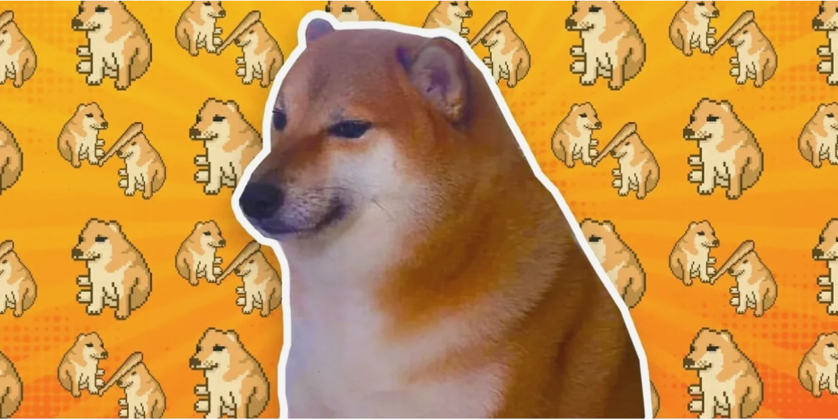 chó bị ong đốt hoảng sợ meme chó bị ong đốt hoảng sợ