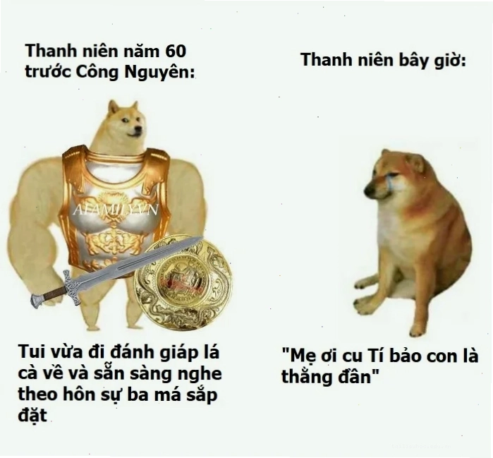 meme chó shiba cầm gậy meme chó shiba cầm gậy bonk
