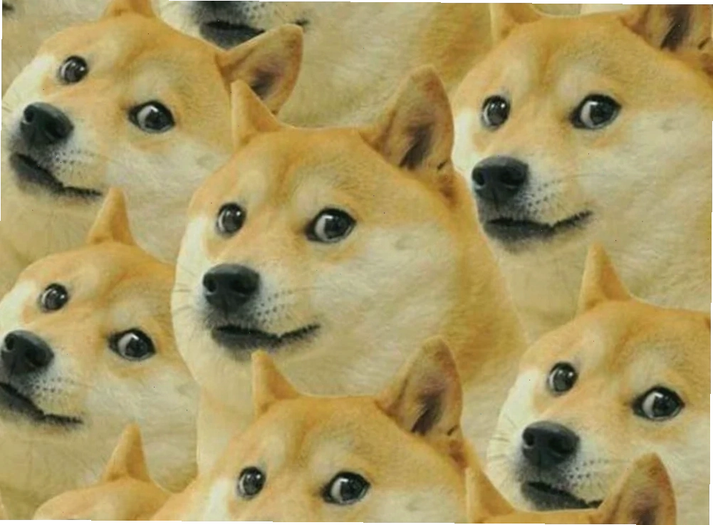 meme chó shiba chạy meme chó shiba chạy nhảy