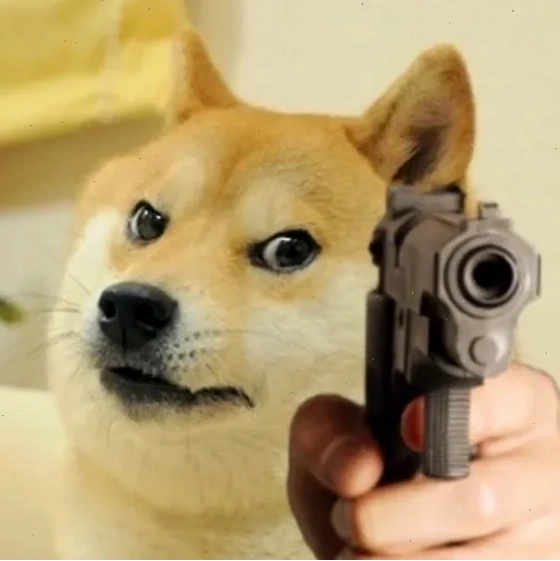 meme chó shiba vui vẻ meme chó shiba chơi cùng chủ