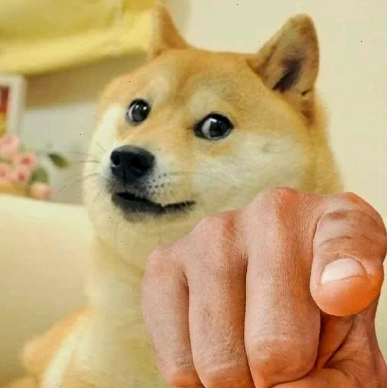 meme chó shiba cười meme chó shiba cười nhếch mép