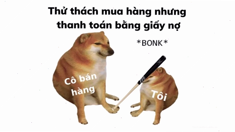 meme chó shiba đội mũ meme chó shiba đội mũ