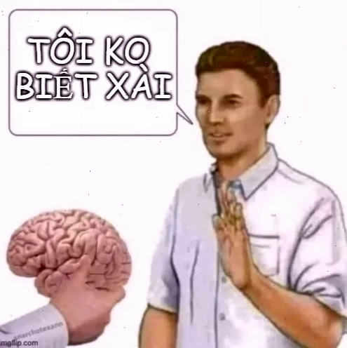 Meme chó thông não meme chó thông não