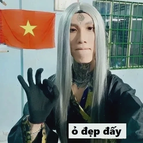 Meme chó vui xinh đẹp tuyệt vời meme