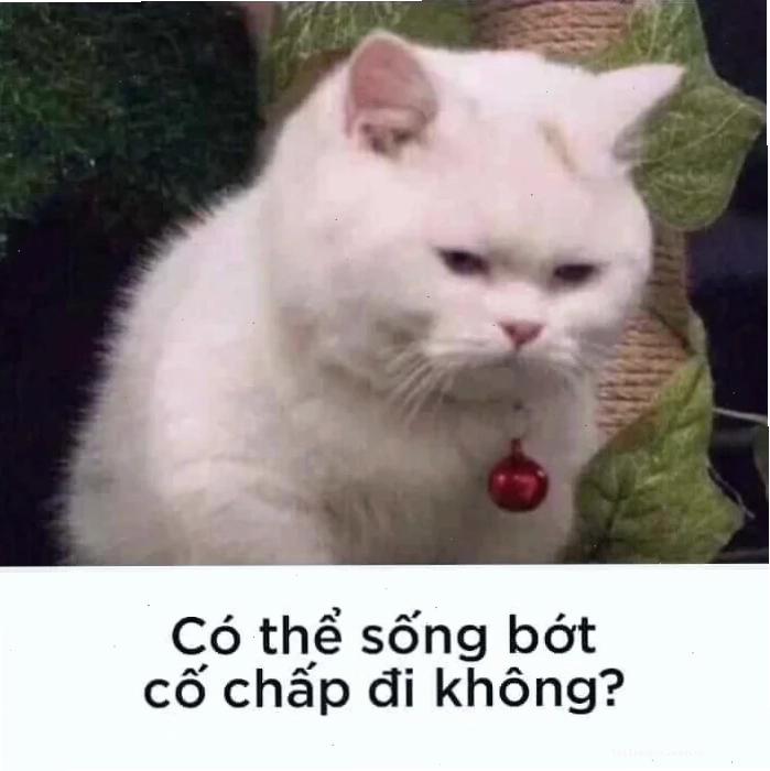 meme mù mắt meme chọc mù mắt tôi đi