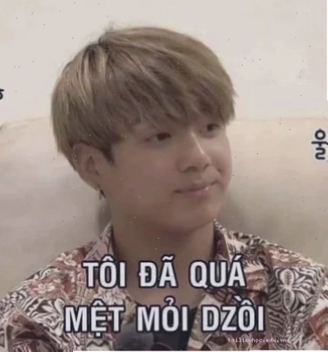Meme chú chó buồn bã quá đủ rồi quá mệt rồi meme