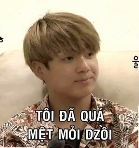 Meme chú chó buồn bã quá đủ rồi quá mệt rồi meme