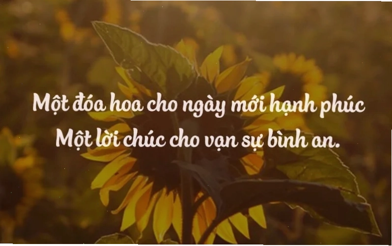 Meme thú vị Meme chúc bạn may mắn lần sau thú vị